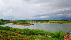 万泉河