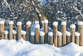 木桩雪图片