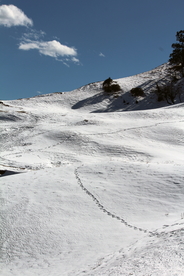 喜马拉雅山风景图片