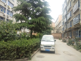 绿化带