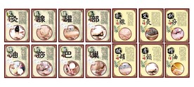 美容 养生 拔罐 刮痧 艾灸