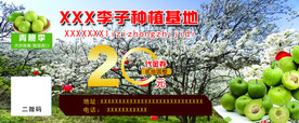 李子代金券正面psd