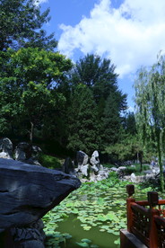 大观园风景