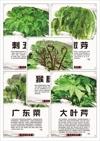东北山菜
