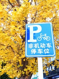 秋日停车牌