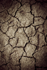 干旱土地