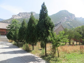 崇福宫一景