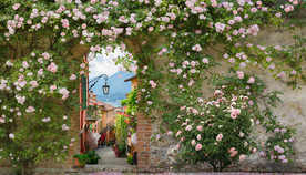 蔷薇玫瑰欧式小镇背景