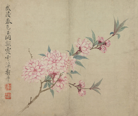 清代恽寿平花草绘画