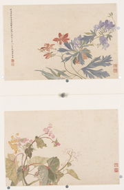 清代恽寿平花草绘画