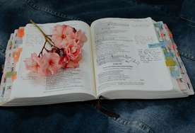 书本看书读书阅读图片