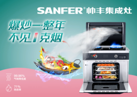 帅丰海报