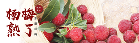 杨梅