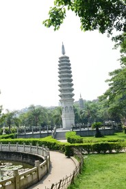 荷塘风景