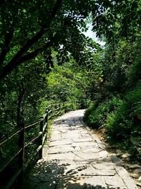 山中小道图片