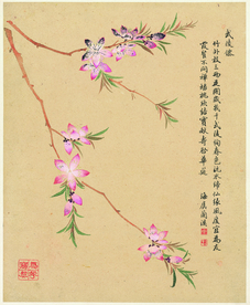 中国风花鸟工笔画