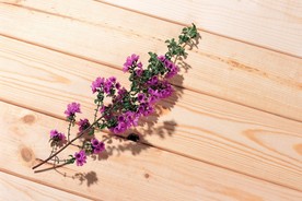 花卉艺术