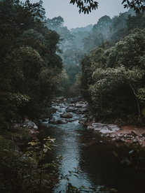 绿野浅溪