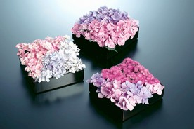 花卉艺术