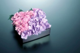花卉艺术
