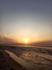夕阳无限好