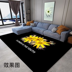 现代风格地毯