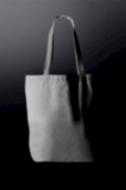 纸袋设计效果图