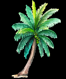 卡通棕榈树