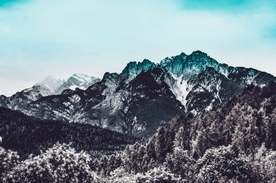 山脉 树林