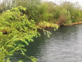 湖的一角