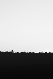 黑白图