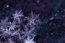 雪花图片