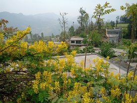 山村一角