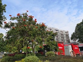 公交站