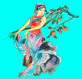彝族美女素材