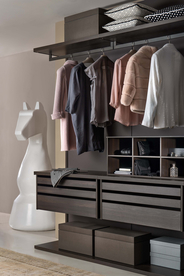 衣柜效果图照片