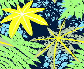 数码 印花
