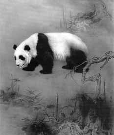 黑白工笔画