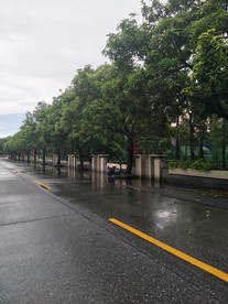 佛山瑞景新村一角