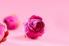 花苞