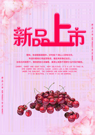 新品上市