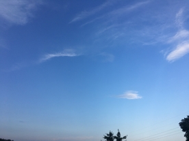 晴朗