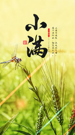 小满节气