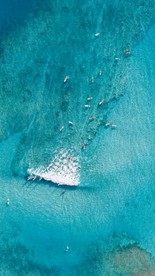 夏威夷的海
