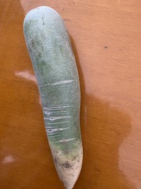 萝卜