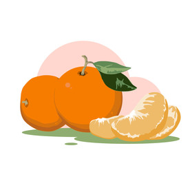 水果系列矢量插画之橘子