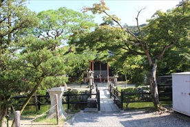 静