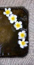 馒头花