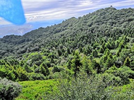 青山白云