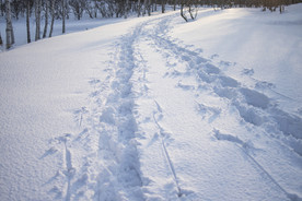 雪道图片